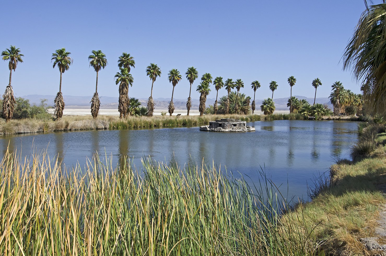 けし畑 Zzyzx - California — Abandoned Places, Gold Rush & Route 66